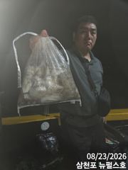 야간문어  사진