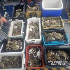루어조황 - 꽃게낚시~♪ 8 . 23( 일요일 ) [[[ 무창포프로낚시 ]]] &lt;&lt;&lt;&lt;&lt;&lt; 빅 마 린 &gt;&gt;&gt;&gt;&gt; 꽃 게 조황보고.... - 무창포 프로낚시 - 배낚시 바다낚시 선상낚시 전문 사진