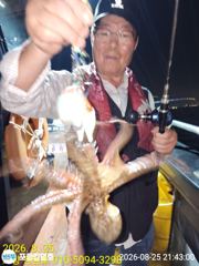 [포항] 포항 돌문어 슬슬올라 옵니다.목.금.토 예약중 사진