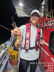녹동문어새벽출조00시 사진