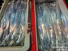 27일새벽,내만칼치 3지씨알급까지 엄청나게잡고,목,금욜예약가능~ 사진