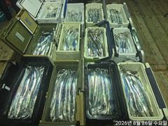 [진해] 준내만갈치4지급씨알굿~쿨러만당손맛입맛굿~굿 사진