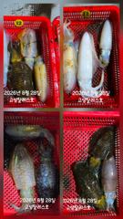욕지권 팀런 오붓한 출조 사진