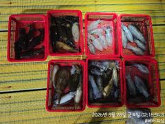 27일 팁런 조황 개인최대17수 사진