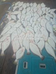 날이면 날마다  쏟아지는 대광어들.  웬 광어가 이리도 나오는지~~  군산 범고래호