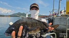 [거제] 흘림 오전감성돔4짜외...낼오전가능