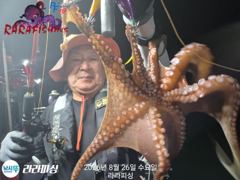 [진해] (야간문어) 토요안 주간.야간.정상출항합니다 사진
