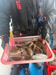 갑돌이 장원 40수! 주말 자리 널널~ 사진