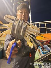 8/28 금요일 군산최강피싱 <#강남호> 야간꽃게낚시 실시간