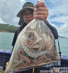 8월28일 여수문어낚시조황 사진
