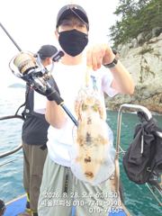 무늬조황