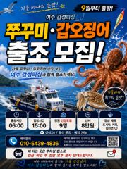 9월1일 쭈꾸미갑오징어 출조합니다