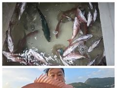 흘림참돔 5짜4짜이하 쏟아집니다~~