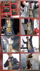 *방어진 넥스호 무늬 팀런 쭉~욱* 사진