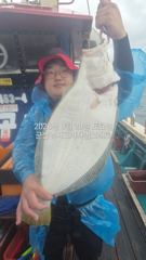 29일,오늘도 굿굿 대광어 참 무쟈게 나오네요. 웬 광어가 이리도 나오는지~실시간~내일도 갑니다~ 군산 범고래호 사진