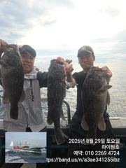 8/29일, 아~싸~! 먼침선, 개우럭~6짜 2마리, 65cm대물까정 3마리~쌍걸이등 실시간 ~오늘 야간 문어 출항합니다~~강추~군산 하이원호 사진