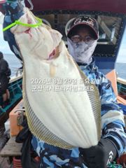 29일,오늘도 굿굿 대광어 참 무쟈게 나오네요. 웬 광어가 이리… 사진