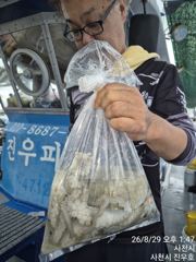 [사천] 29일 일곱분 돌문어 조황, 따북따북 먹을정도로 잡았습니다 ~^…