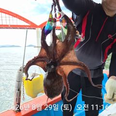 [사천] 암초 포인트 문어 낚시