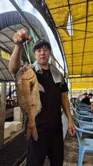 으랏차차좌대 8월29일 토요일 조황 입니다 사진