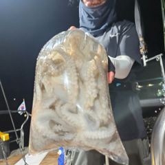 8월29일 토요일 야간문어