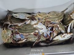 군산킹스타호(8/29)야간꽃게낚시 마무리조황 (8/30출조합니다.예약가능) 사진