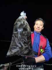 [먹물조황]삼천포문어조황!주간반,야간반매일출조! 사진