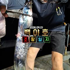 8.29 제주백야호 선상 한치.갈치 조황 사진