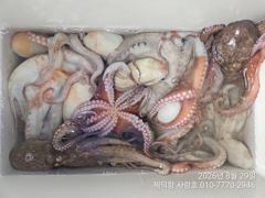 "여밭돌문어"1200g1000g1000g외 137수 와장창~15수13수12수11수11수10수10수 전원 손맛~(예약가능) 사진