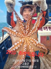 돌문어 출조 모집중  수요일(2일)~7일(월)   쭈꾸미전투 출조  토요일(5일) 금어기 해제   모집중입니다    황금물때 시작   망태기가득 채우러 가실분들 미리미리 연락주세요 사진