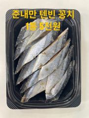 [진해] 진해꾼낚시 갈치텐빈전용선 오늘 예약가능합니다