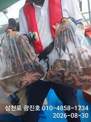 [사천] 문어조황굿{선비,5만,31일,자리여유 쭈꾸미 예약가능 사진