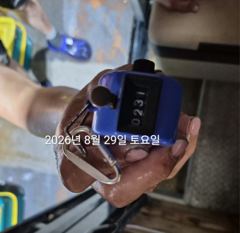 [진해] 팁런무늬!!다시세자리!!내일(월)예약가능!! 사진