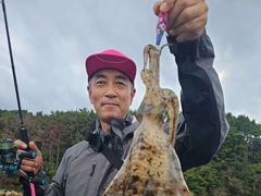 [진해] 무늬는 키로로 쭉~쭉, 돌문어는 쑥~쑥 예약가능 사진