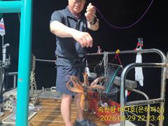 [진해] 내만 문어 오후 야간 출조 안내 씨알급KKK 마릿수 좋아요 월요…