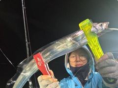 씨알좋아진 내만갈치!퍽퍽퍽!쿨러채우고(월요일예약가능)
