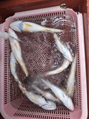 8월30일 승원호