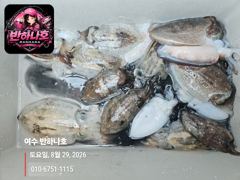 [여수반하나호] 31일(월)갑오징어탐사 점심뷔페포함6만원.하루더연장! 사진