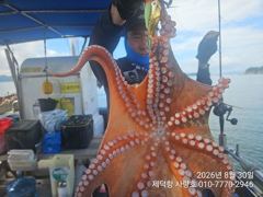 [진해] "여밭돌문어"1000g외 개인16수16수14수12수외 마릿수조황…