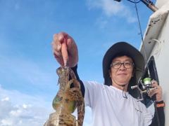 [통영] [무늬] 30일.. 좋은 조황을 보입니다.   월. 화 예약중