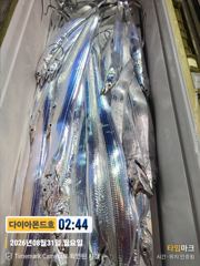 [진해] 간만에 대박터졌네! 오늘도달려봅시다! 예약가능 전화주세요~