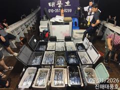(南)남해조황 - 31일 입항, 내만갈치 담배갑 사이즈까지 엄청 잡았네요. 오늘 예약가능.