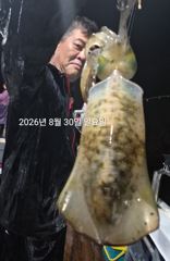 [진해] 팁런무늬!!!오늘 예약가능!!3자리 가즈아~ 사진