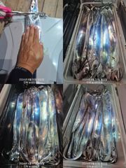 [진해] 준내만 갈치 왕씨알 대치들 다시 시작되고~~(화욜 예약  가능,…