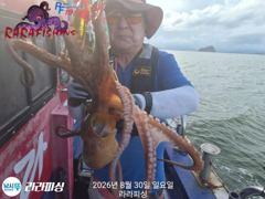 (南)남해조황 - 30일(야간문어) 연일마릿수 중치 키로급카지 쭉쭉 퍽퍽