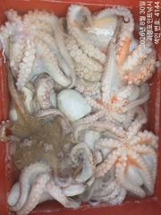 ~~*돌문어 마리수 제법 많이 올라옵니다~~(예약가능)*~~