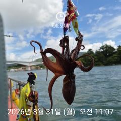 [사천] 암초 포인트 문어 낚시