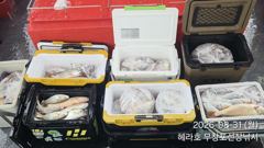조황정보 - 8/31 백조기 조황 - 무창포선상낚시
