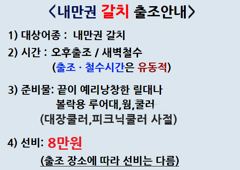31일,내만갈치 엄청 잡고 입갑이 모자라 조기철수.오늘출항(예약가능) 