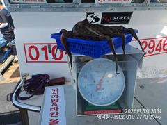 [진해] "여밭돌문어" 1000g1000g1000g900g외 키로들과 … 사진